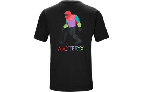 Arcteryx x Bigfoot SV Polychrome T
