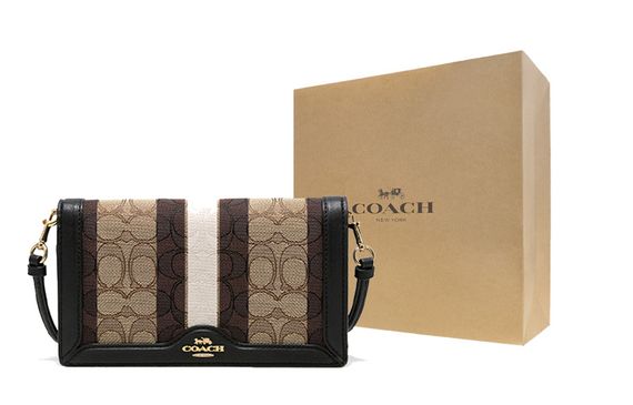 COACH Anna 20