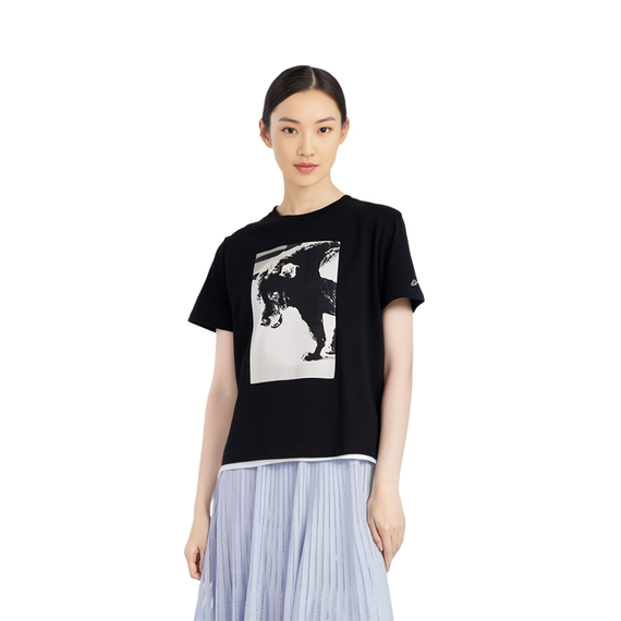 UNIQLO T