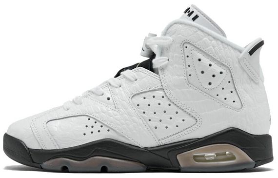 Jordan Air Jordan 6 “Alligator”