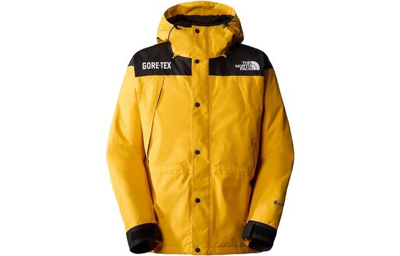 /THE NORTH FACE GTX mountain jacket