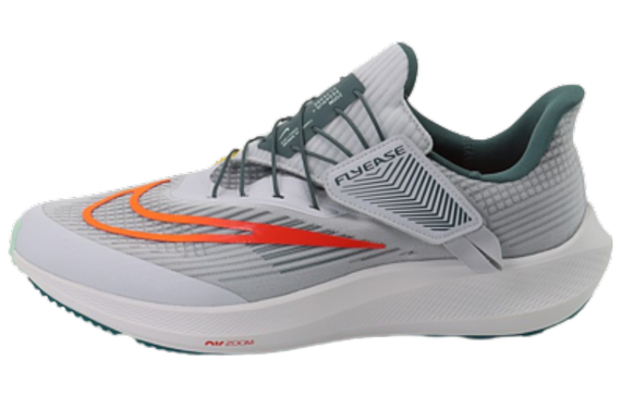 Nike Pegasus FlyEase Air Zoom