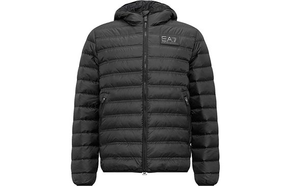 EMPORIO ARMANI EA7 FW23 Logo
