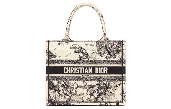 DIOR BookTote Tote