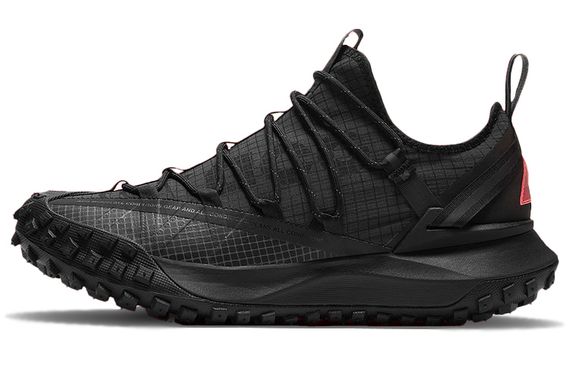 Nike ACG Mountain Fly Low &quot;Anthracite&quot;