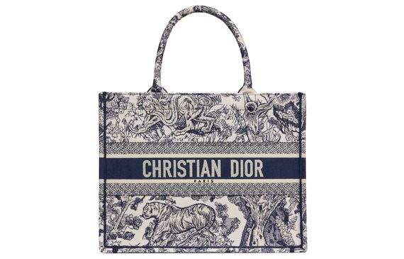 DIOR BookTote Tote