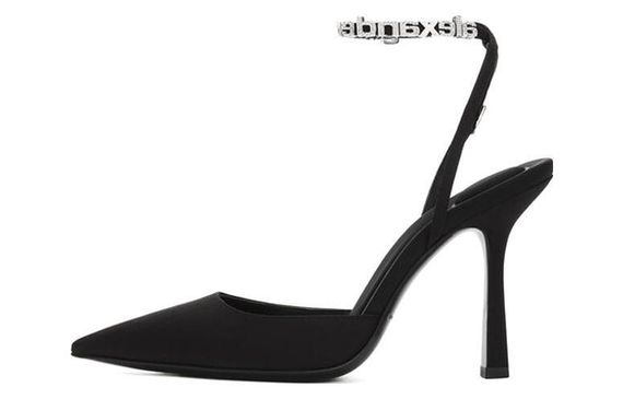 Alexander wang Delphine