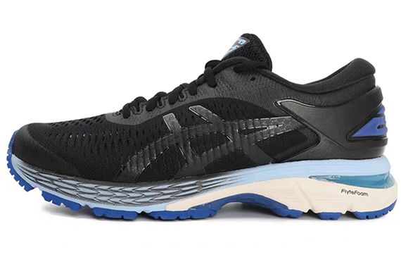 Asics Gel-Kayano 25