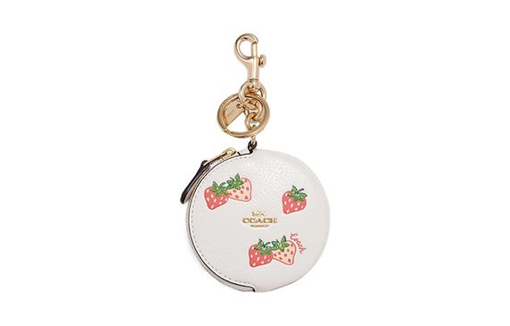 COACH Pouch 9