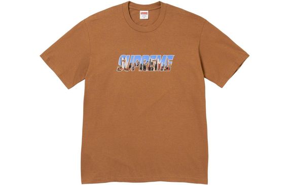 Supreme FW23 WEEK1 GOTHAM TEE Logo T