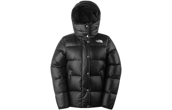THE NORTH FACE Logo 700