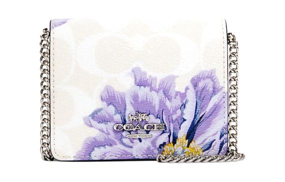 COACH Chain Wallet 10