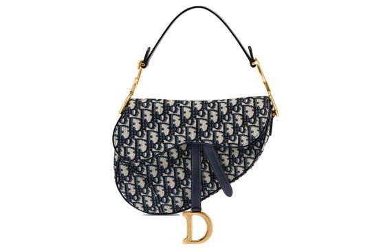 DIOR Saddle Oblique