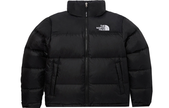 THE NORTH FACE 1996 FW23 EcoNuptse Jacket
