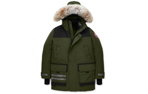 Canada Goose Erickson