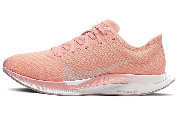 Nike Pegasus turbo 2 Logo