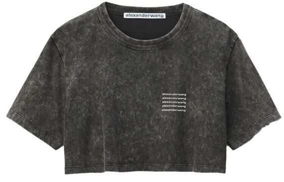 Alexander wang SS22 T 520