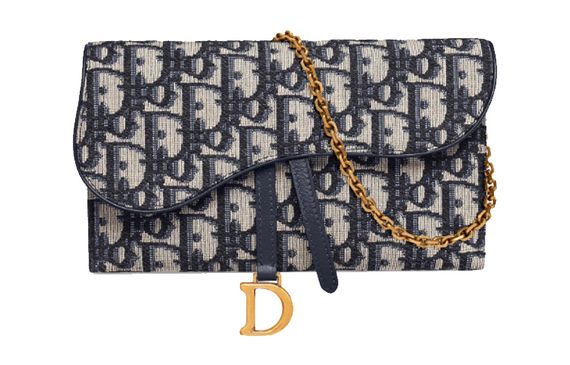 DIOR Saddle Oblique