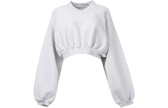 Alexander wang V Logo