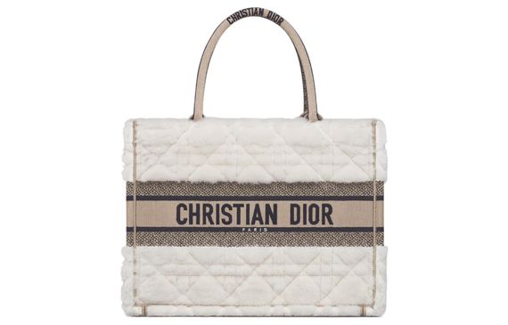 DIOR BookTote Tote