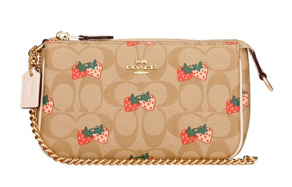 COACH Wristlet 19