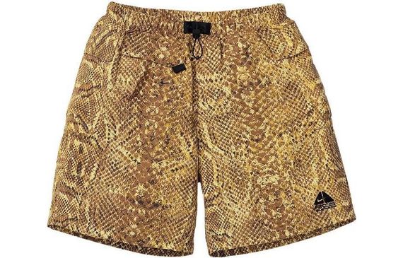 Supreme FW22 Supreme x Nike ACG Nylon Trail Short Logo