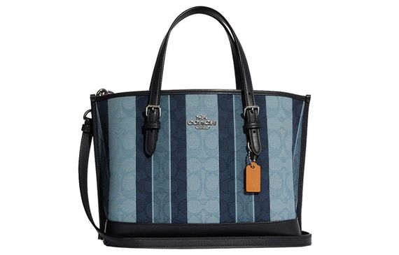 COACH Mollie 25 Tote
