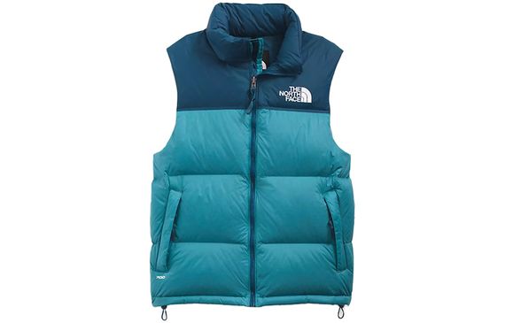THE NORTH FACE 1996 Retro Nuptse 700