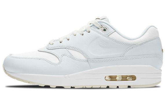 Nike Air Max 1