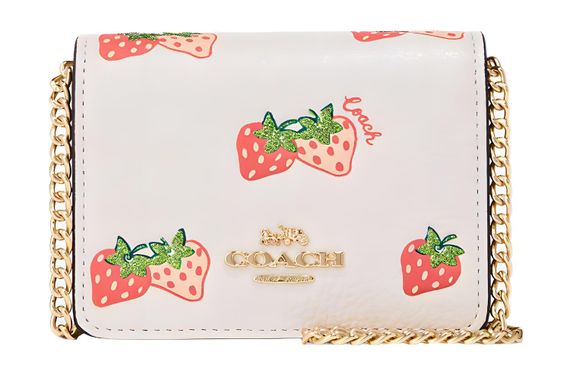 COACH Wallet 10