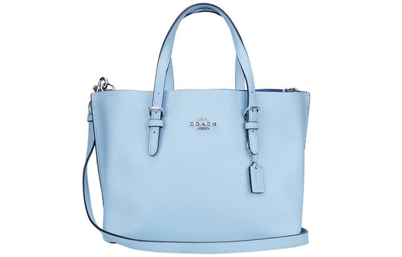COACH Mollie 25 Tote