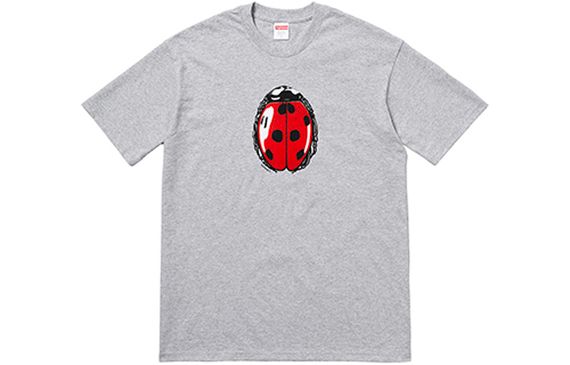 Supreme SS18 Ladybug Tee Heather Grey T