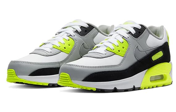 Nike Air Max 90 LTR