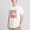 THE NORTH FACE FlashDry Box Logo T