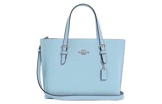 COACH Mollie 25 Tote