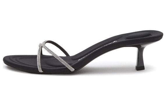 Alexander wang