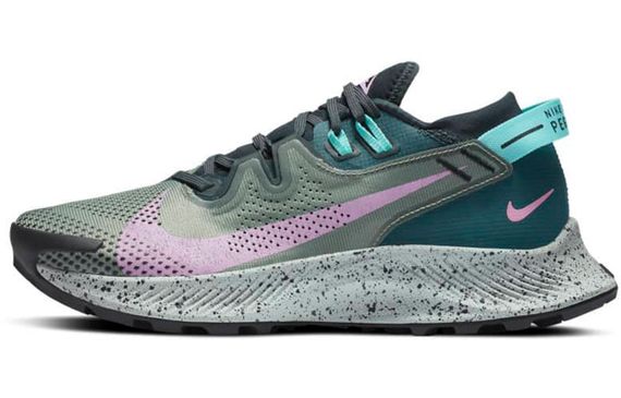 Nike Pegasus Trail 2