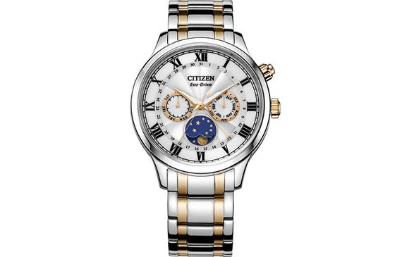 CITIZEN AP1054-80A