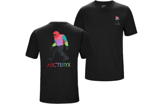 Arcteryx x Bigfoot SV Polychrome T