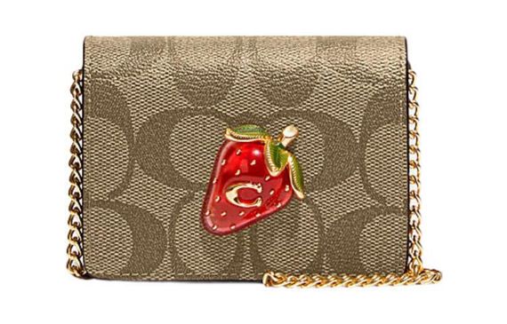 COACH Chain 10
