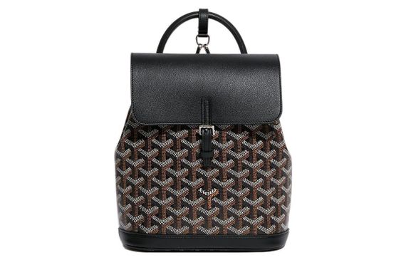 GOYARD Alpin