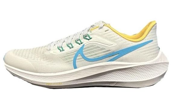 Nike Air Zoom Pegasus 39