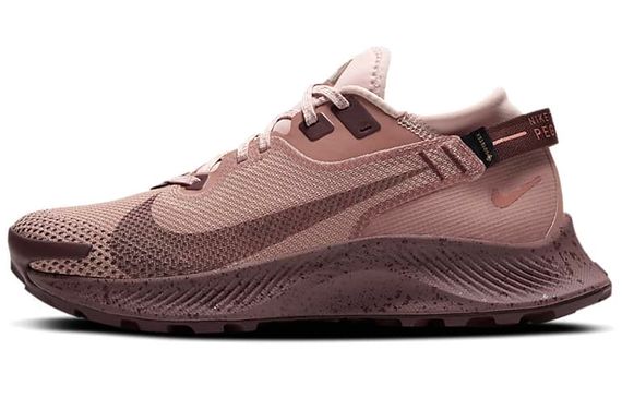Nike Pegasus Trail 2 GORE-TEX