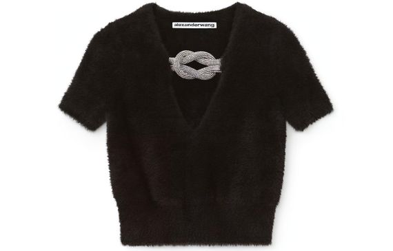 Alexander wang FW21 T