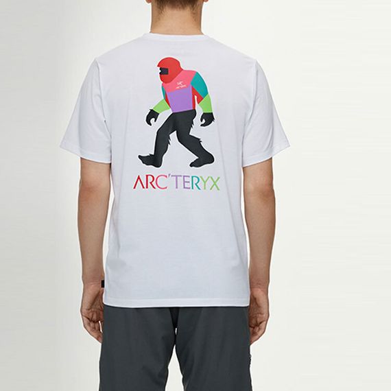 Arcteryx x Bigfoot SV Polychrome T