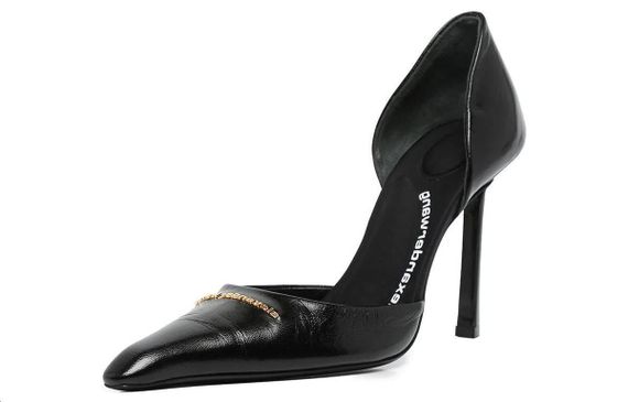 Alexander wang Viola 10.5cm