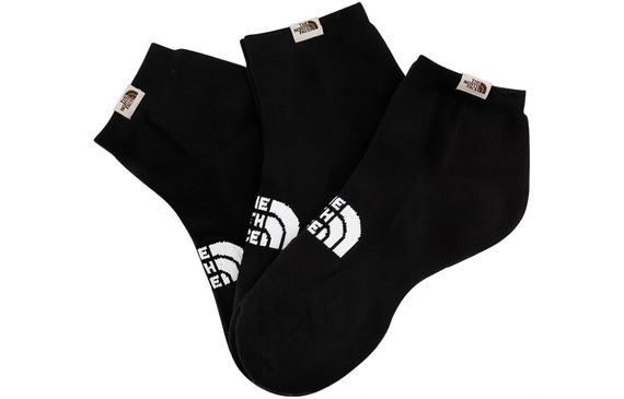 THE NORTH FACE Logo 3