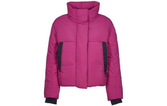 Canada Goose Junction