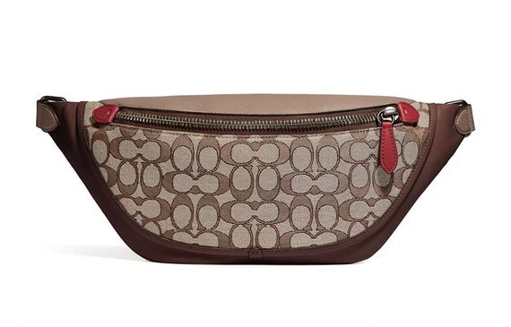 COACH League Belt 40 /