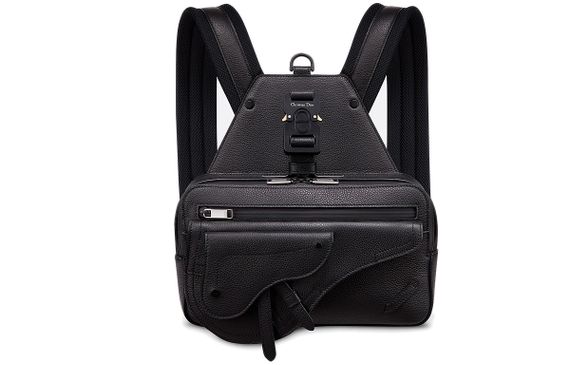 DIOR Saddle